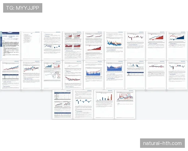 伊萨克森风格分析 伊萨克森风格分析