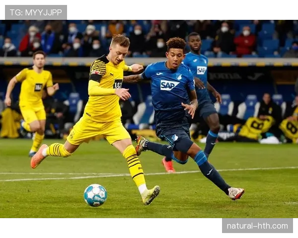 从霍芬海姆梯队到汉堡主力：奥纳纳的职业起步